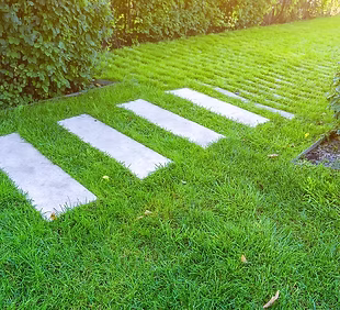 Green lawn and road surface from paving slabs in backyard_ Gray color stepping tiles floor