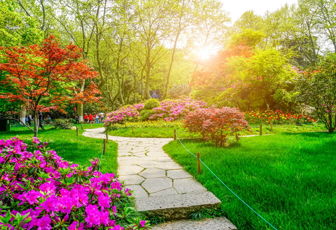 image-19.jpg image-19.jpg