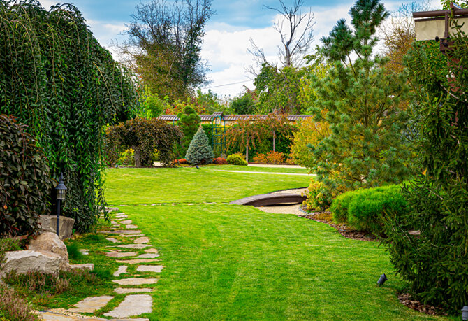 image5-1.jpg image5-1.jpg